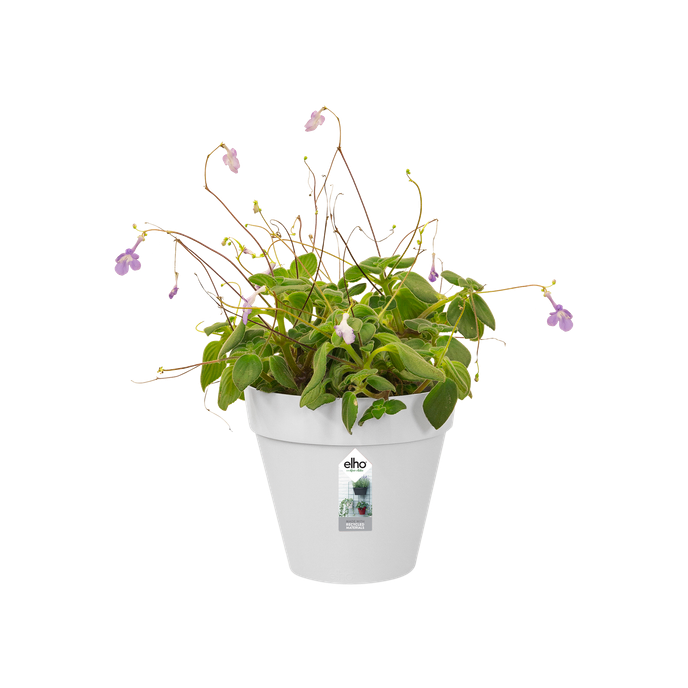 loft urban green wall single 15cm wit
